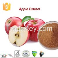 free sample GMP supplier organic natural restrain skin cancer melanin apple extract polyphenol &  phlorizin