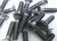 DIN7991 standard screws