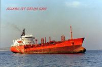 cargo ship and bulk carrier fr sell