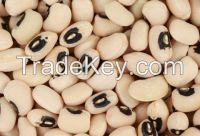 Cowpeas