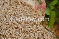 Sunflower Seed kernels