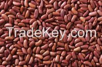 Kidney Beans