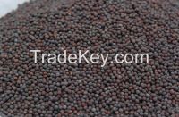 Mustard Seeds