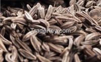 Cumin Seeds