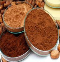 Dutch Cocoa Powder