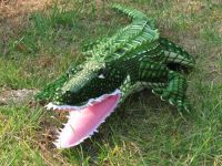 The crocodile plush toy