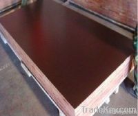 Sell  Black Film Faced Plywood/Fancy Plywood/Building Construction