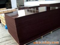 SELL GOOD QUALITY FILM FACED AND COMMERCIAL PLYWOOD
