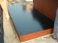 Sell black film faced plywood