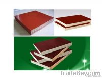 Sell BROWN FILM FACED PLYWOOD