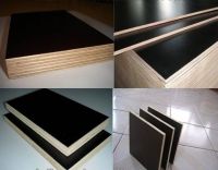 7MM 1220x2440 Film Faced Plywood