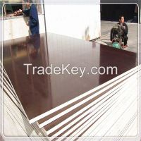 18mm film faced plywood