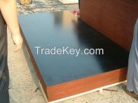 18mm commercial plywood for middle east