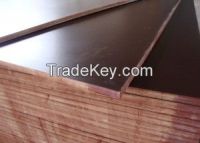 commercial plywood