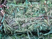 PET Strappings wastes Green Coloured in bales & regrinds