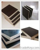 sale film faced plywood for construction shuttering plywood 18mm