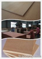 hot sale high quality manufacture price commercial bintangor  plywood