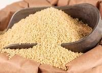 Quality Millet (Red&Yellow Millet) for Sale
