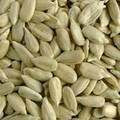 Almond Nuts