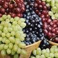 Good Quality Fresh Red & Green Grapes