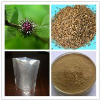 HHerb 100% natural 10%-30% arctiin arctium lappa root extract