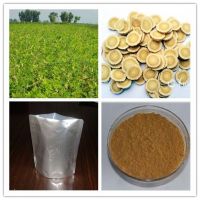 HHerb best 5% Astragaloside IV/ 50% Polysaccharide Astragalus Extract