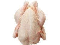 Whole Frozen HALAL chicken