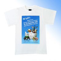 Sell Men's Customized T-shirt