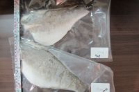 Sell Forzen Perch fillets (with skin)