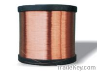 Sell copper clad steel wire, CCS wire