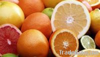 Sell Fresh Citrus