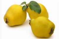 Sell Fresh Quinces, Quince