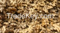 Fresh Ginger, Fruits, Spices supplier