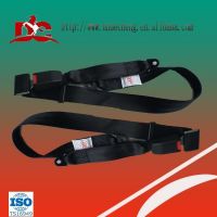 Super Quality Two Points/Three Points Safety Belt