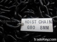 Black Painted Iron Chain (gsSX-01)