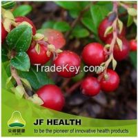 Cranberry Extract OPC 25%