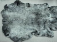 Sell rex rabbit fur/skins