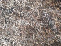 Seaweed Fertilizer and Animal/Aquaculture feed