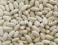 WHITE/RED/BLACK KIDNEY BEANS