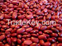 WHITE/RED/BLACK KIDNEY BEANS