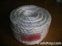 Request for Enquiry for Jute Rope