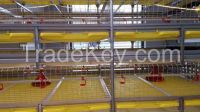 sell broiler cage system