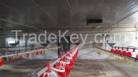 sell automatic poultry feeding line and drinking line