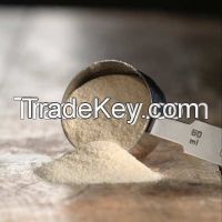 Skimmed Milk Powder