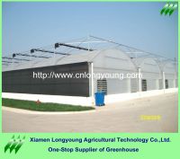 extra large greenhouse sale