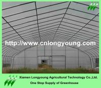 tunnel greenhouse sale
