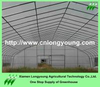 vegetable greenhouse sale