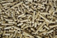 Looking for Wood Pellets End-Buyer / Distributor