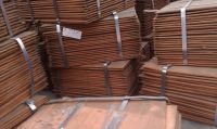 Sell Copper Cathode 99.99%
