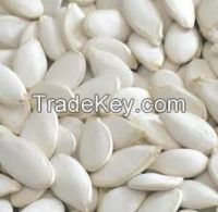 white pumkin seed